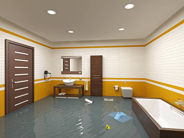 Best Basement Water Damage Restoration in USA